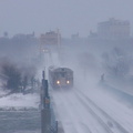 P1010039a.jpg