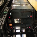 IMG_2981.jpg
