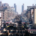 P1010093.jpg