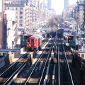 P1010104.jpg