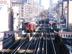 P1010104.jpg