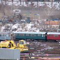 P1010157.jpg
