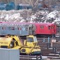 P1010163a_80.jpg