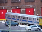 P1010166.jpg