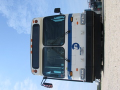 IMG_3704.jpg