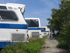 IMG_3709.jpg
