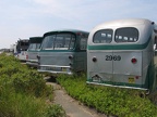 IMG_3710.jpg