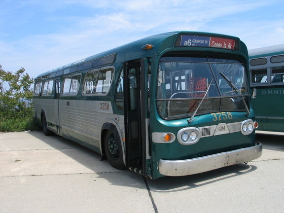 IMG_3782.jpg