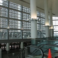 IMG_3942.JPG