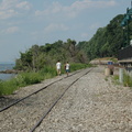 CSX lead from CP12 to Sugarhouse in Yonkers @ Riverdale (MNCR Hudson Line). Photo taken by Tamar Weinberg, 7/24/2005.
