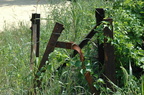 Base of a cut-down line pole along the CSX lead from CP12 to Sugarhouse in Yonkers @ Riverdale (MNCR Hudson Line). Photo taken b