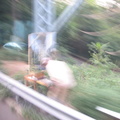 An artist painting a painting of the underside of the Henry Hudson Bridge. Photo taken from a bus on Palisade Ave in Riverdale.
