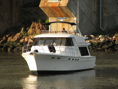 IMG 0278