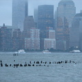 Lower Manhattan skyline. Photo taken by Brian Weinberg, 9/14/2005.