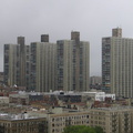 IMG_4335.jpg