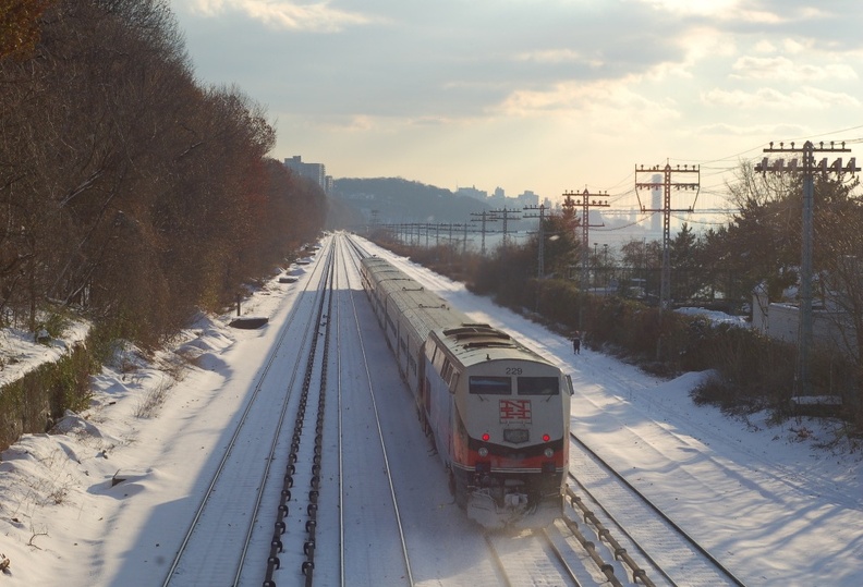 CDOT P32AC-DM 229 @ Riverdale (Hudson Line). Note the cross country skier and the George Washington Bridge. Photo taken by Brian