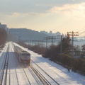 CDOT P32AC-DM 229 @ Riverdale (Hudson Line). Note the cross country skier and the George Washington Bridge. Photo taken by Brian