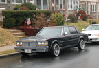 DSC_1118a.jpg