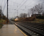 DSC_1130a.jpg