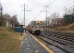 DSC_1134a.jpg