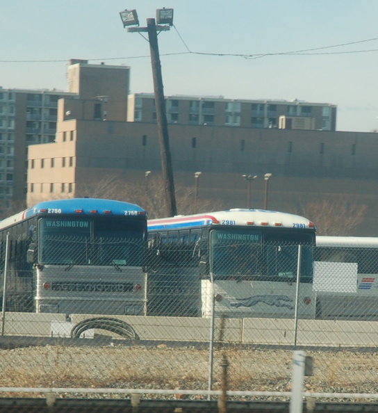 Funky Greyhound bus paint scheme 2981 @ Washington, DC. Photo taken by Brian Weinberg, 1/22/2006.