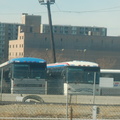 Funky Greyhound bus paint scheme 2981 @ Washington, DC. Photo taken by Brian Weinberg, 1/22/2006.