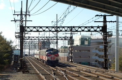 DSC_2814a.jpg