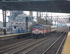 DSC_2842a.jpg