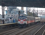 DSC_2843a.jpg