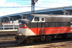 DSC_2847b.jpg