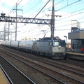 DSC_2860a.jpg