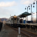 DSC_2883a.jpg