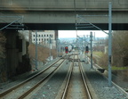 DSC_3135a.jpg