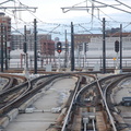 DSC_3151a.jpg