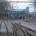 DSC_3177a.jpg