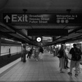 DSC_3703a.jpg