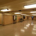 DSC_4966a.jpg