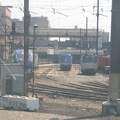 IMG_3824.jpg