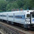 DSC_5537a.jpg