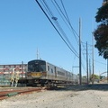 DSC_6026a.jpg