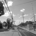 DSC_6031bw.jpg