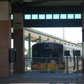 DSC_6113a.jpg