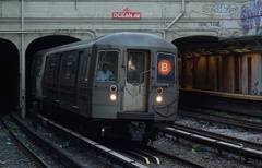 DSC_6239a.jpg