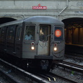 DSC_6239a.jpg