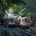 DSC_6251a.jpg