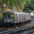 DSC_6257.jpg