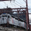DSC02100.JPG