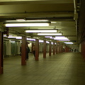 DSC_8019a.jpg