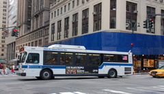 DSC_8243a.jpg