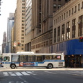 DSC_8245a.jpg